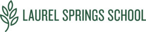 Laurel Spring School