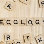 Ecology word on wooden tiles