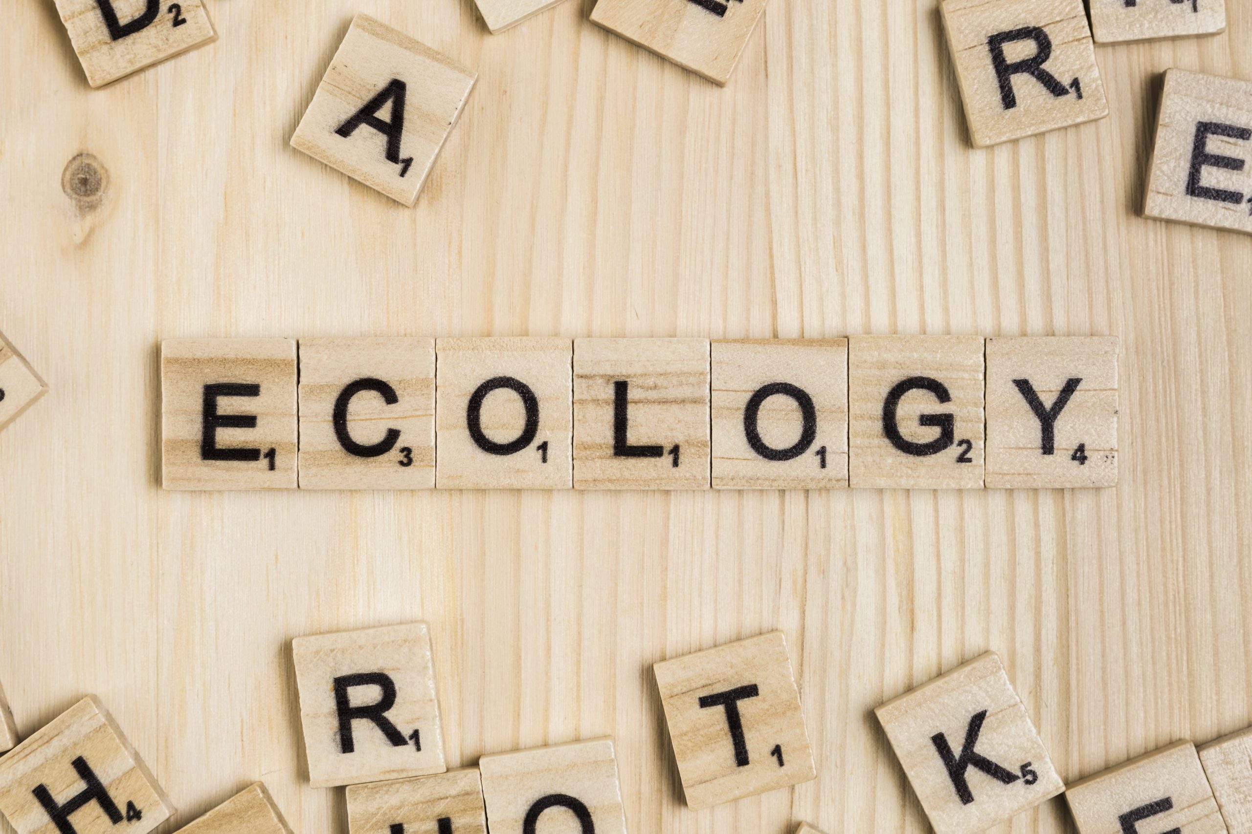 Recycling Across Languages: The Importance of Multilingual Messaging in Global Sustainability Efforts