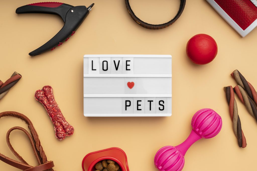 Top view on pet accessories still life concept with love pets text
