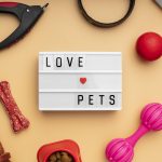 Top view on pet accessories still life concept with love pets text