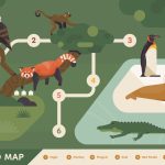 From Animal Facts to Visitor Maps: How Translation Services Elevate Zoos and Aquariums