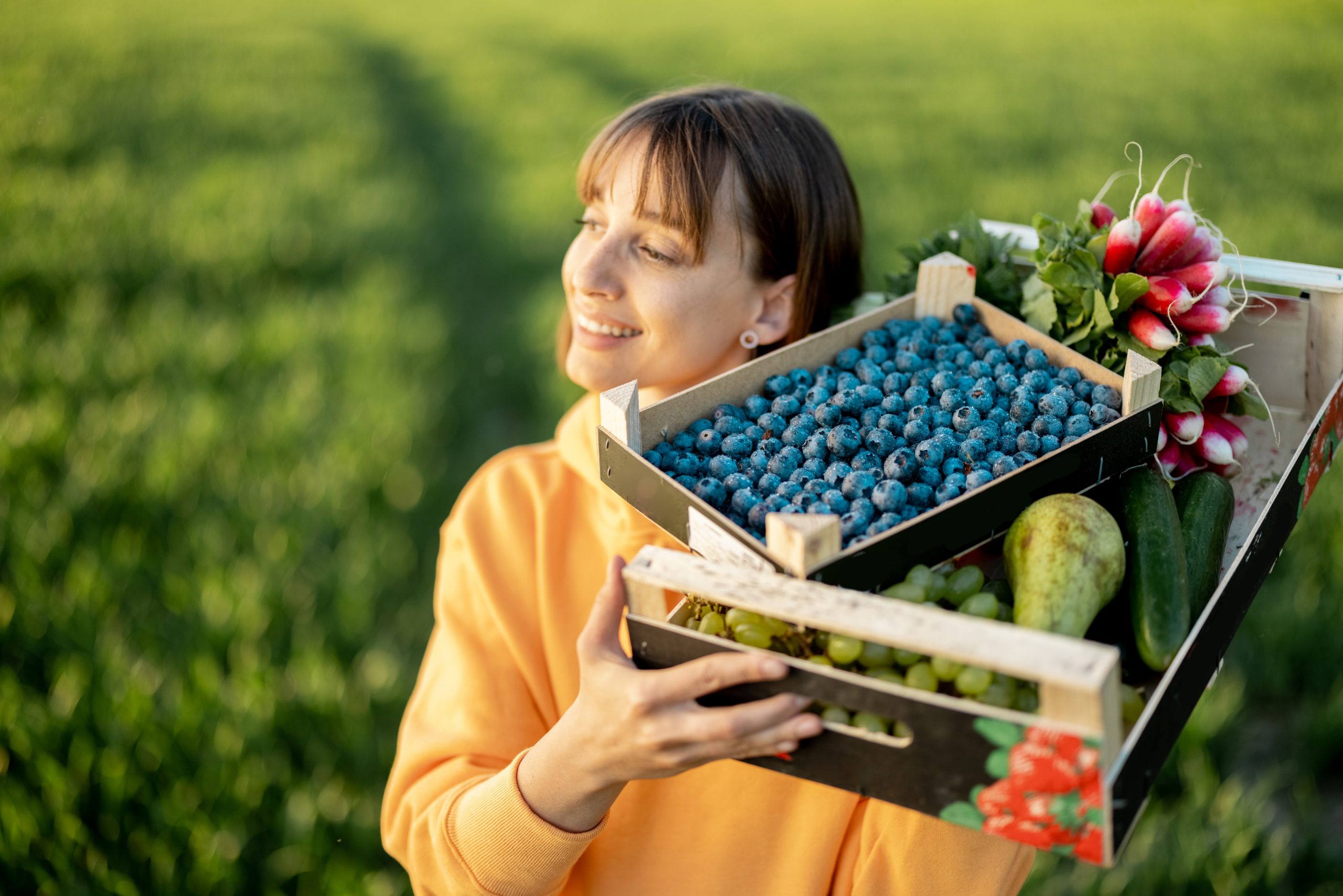 From Farm to Global Shelf: Why Blueberry Exporters Need Accurate Translation Services