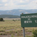 Breaking Language Barriers in National Parks with Multilingual Translation Services - Breaking Language Barriers in featured image