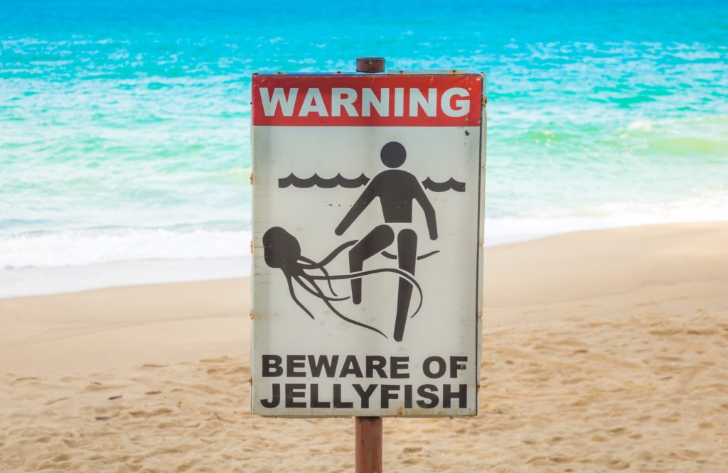 The Beach Safety Signs Tourists Misread and How Better Translation Prevents Risk - The Beach Safety Signs featured image