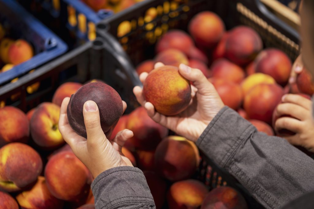 From Orchard Labels to Export Markets How Peach Brands Speak to International Buyers - Peach Brand Localization: From featured image
