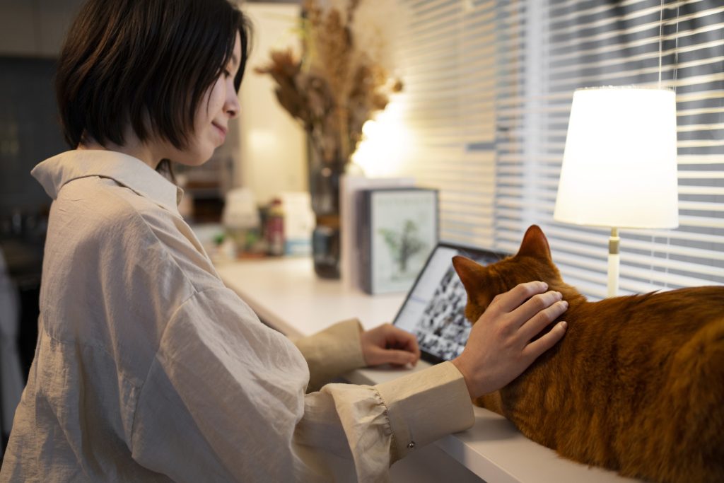 From Meow to Medical Care Translating Pet Health Information for Cat Owners - From Meow to Medical featured image
