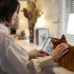 From Meow to Medical Care Translating Pet Health Information for Cat Owners - From Meow to Medical featured image