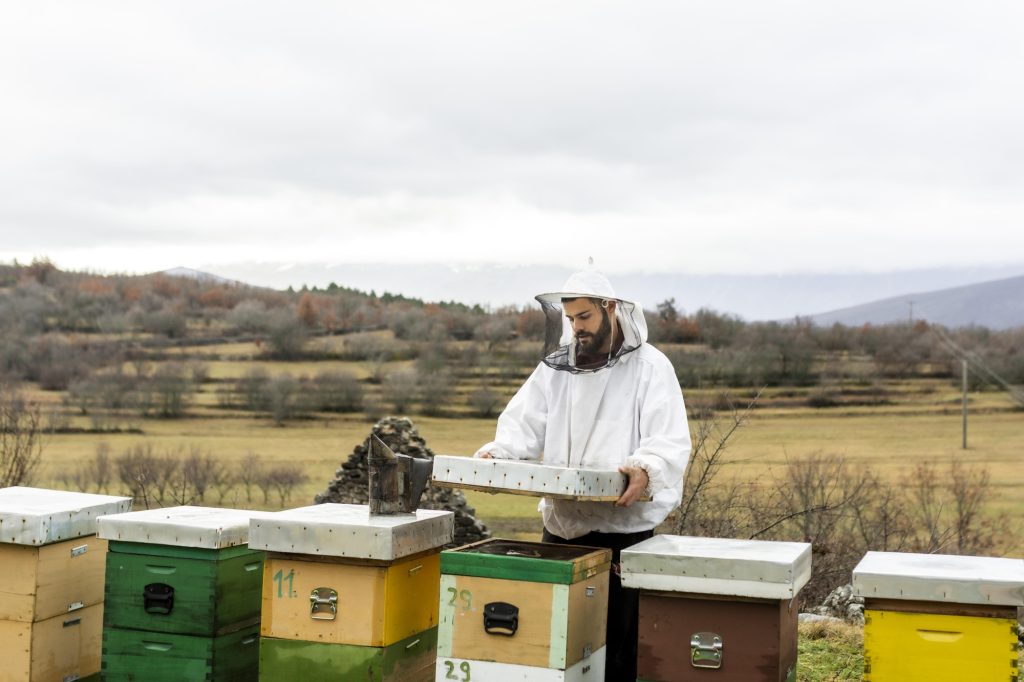 How Translation Helps Bee Research Travel From Laboratories to Local Farms - How Translation Helps Bee featured image