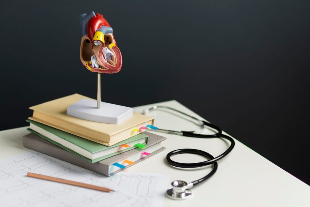Heart Health in Every Language: Why Medical Translation Matters for Patient Education and Cardiovascular Care - Medical Translation for Better featured image