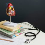Heart Health in Every Language: Why Medical Translation Matters for Patient Education and Cardiovascular Care - Medical Translation for Better featured image