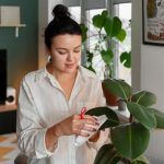 Can Your Houseplant Instructions Travel? Translating Plant Care Guides for Multilingual Customers - Translating Plant Care Guides featured image