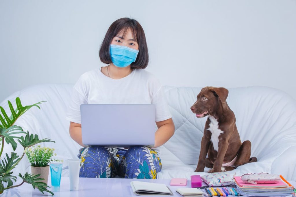 Sit, Stay, Translate: Why Pet Care, Veterinary Records, and Adoption Documents Cross Language Barriers - Veterinary Document Translation for featured image