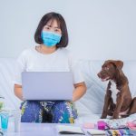Sit, Stay, Translate: Why Pet Care, Veterinary Records, and Adoption Documents Cross Language Barriers - Veterinary Document Translation for featured image